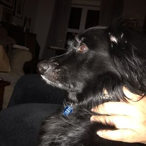 Meet your Posher, Briana